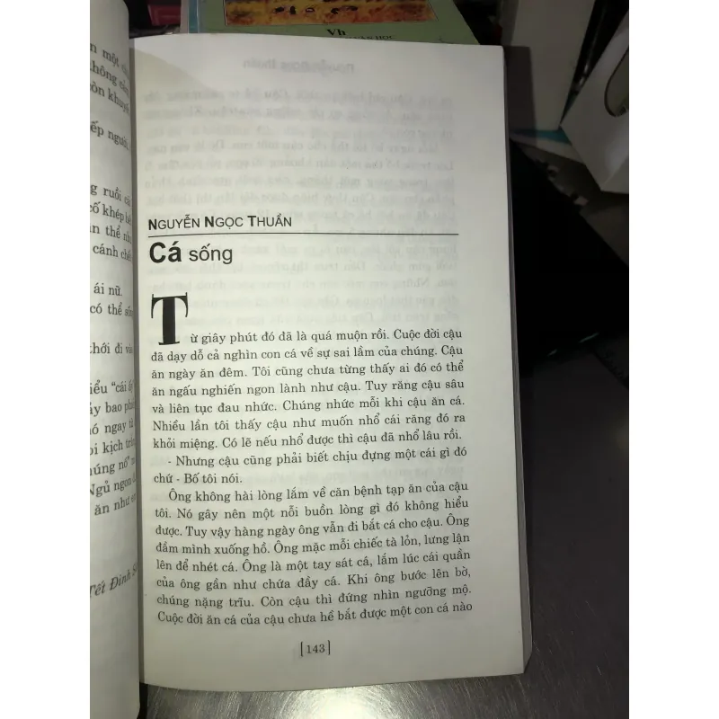 Hồn hoa đêm tháp cổ  1001142