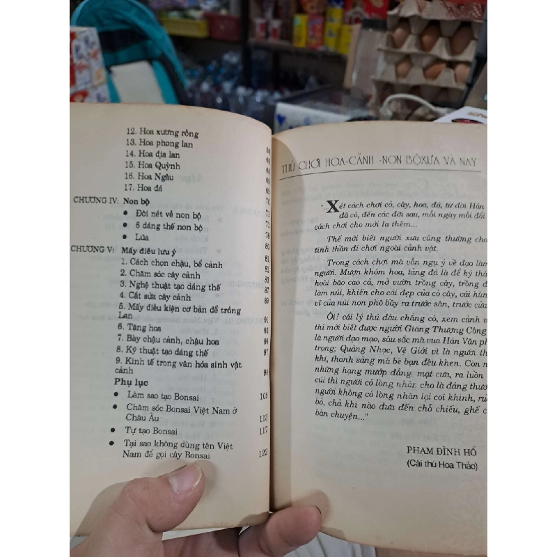 Thú Chơi Hoa Cảnh Non Bộ Xưa Và Nay - Phạm Kế - 1995 mới 80% ố - KỸ NĂNG - HCM3012 749688