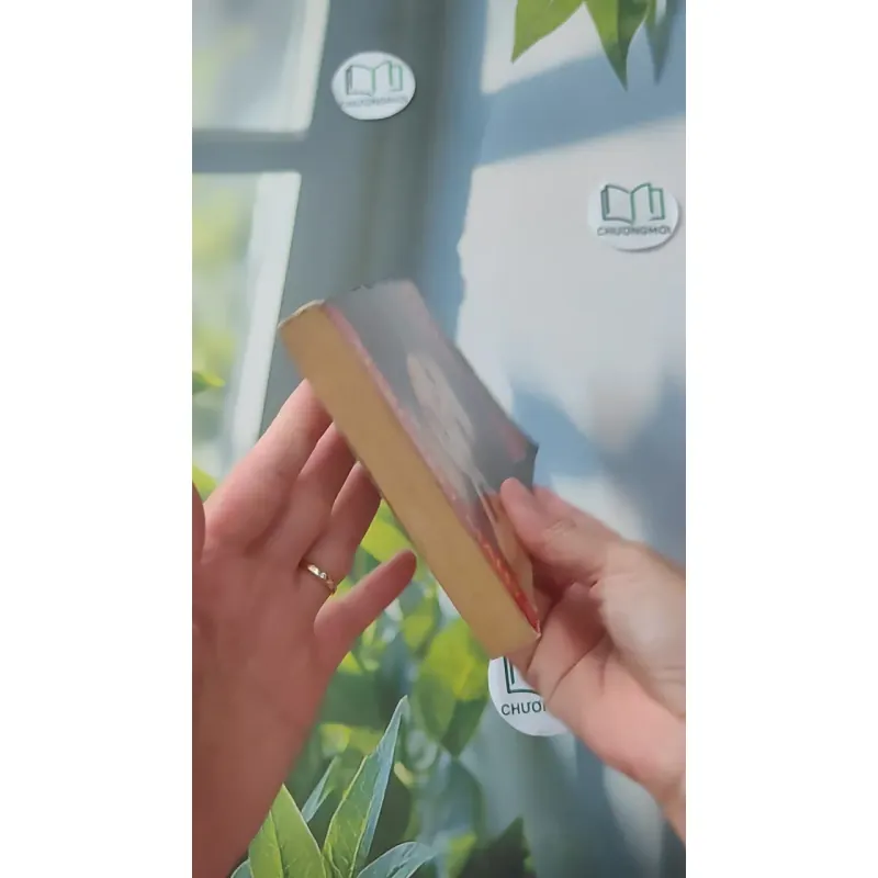 [MIỄN PHÍ BỌC SÁCH] [XƯA] The Changeover (1995) - Margaret Mahy 1027487