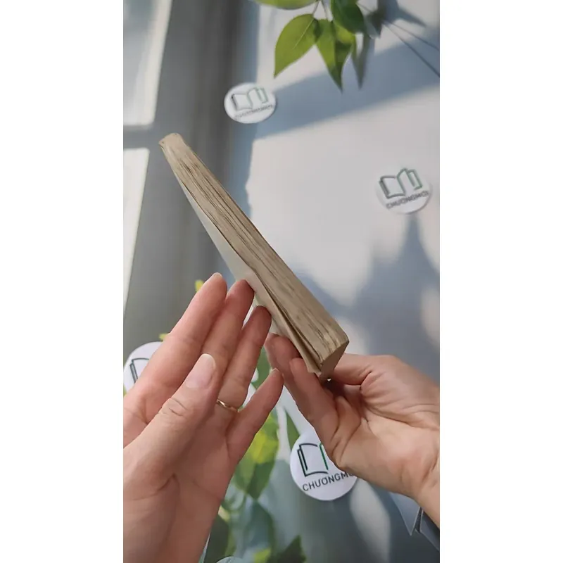 [XƯA] [HIẾM] Ảo Ảnh (1992) - Sĩ Hồng 997590