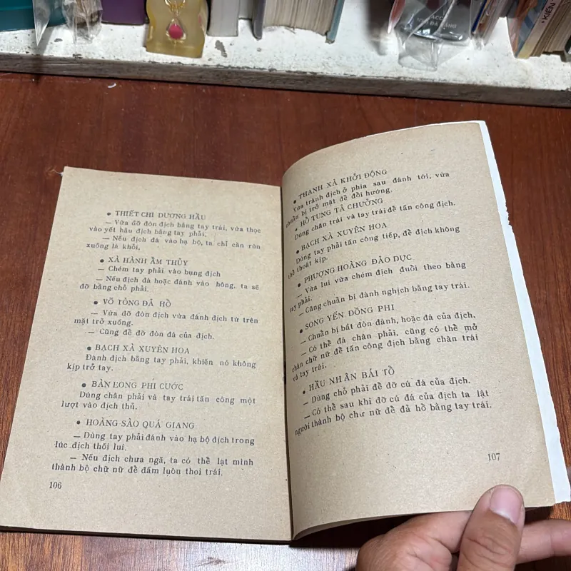 II Võ Thuật Tinh Hoa (Bài Quyền): Đồng Tử Nghinh Chiến (Thiếu Lâm Nam Phái) - Kim Nhứt Phi 1041860