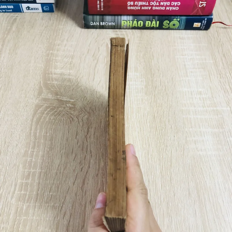 KỸ THUẬT THÂM CANH CÂY KHOAI LANG  1027906