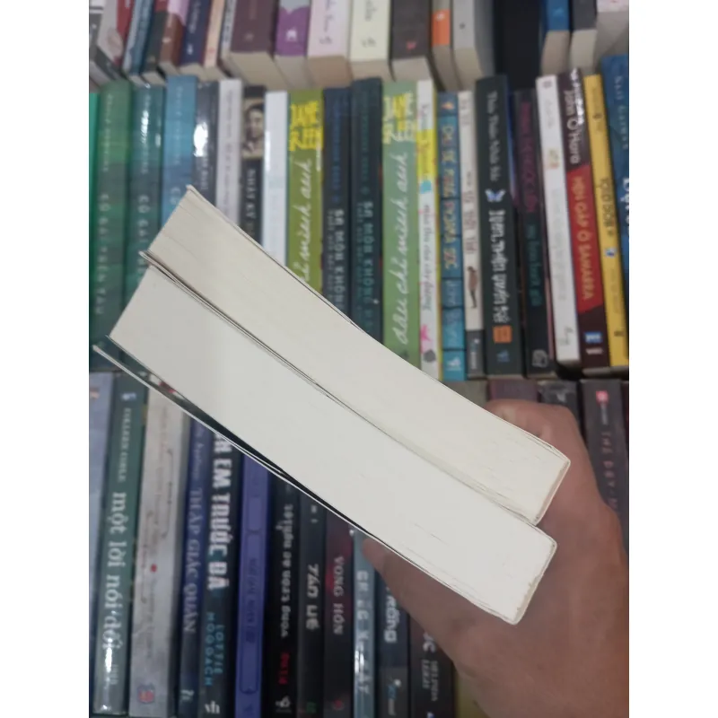 Chiến binh của công chúa 991115