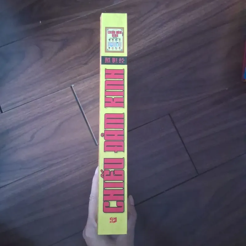 Chiếu đảm kinh  737162