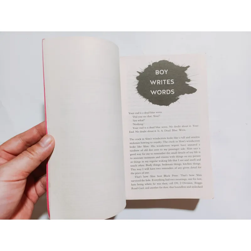 Boy Swallows Universe - Trent Dalton 930973