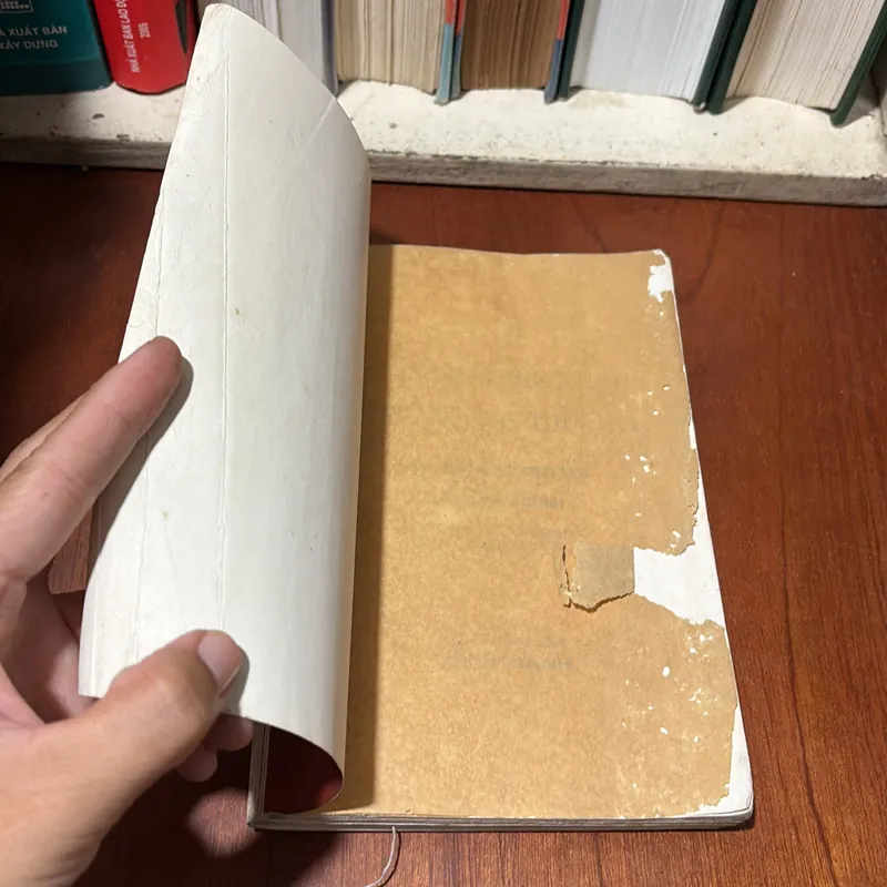 II Sách Phật Giáo: Hạnh Phúc Mộng Và Thực - Nhất Hạnh - Lá Bối - 1999 720529