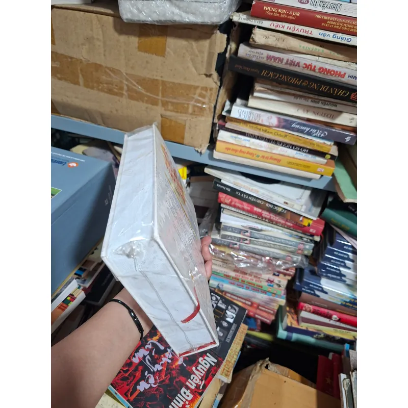 Lịch sử võ học VN 932005