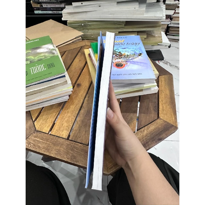 Cửa Nát Muôn Trùng - Trần Dạ Lữ - Trần Dạ Lữ 961103