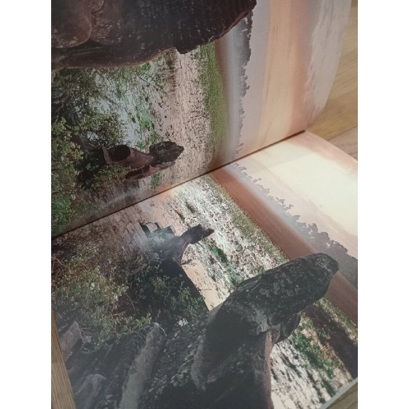 Angkor: Splendors of the Khmer civilization - Marilia Albanese 572856