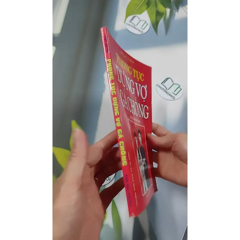 Phong Tục Dựng Vợ Gả Chồng - Như Hùng 776135