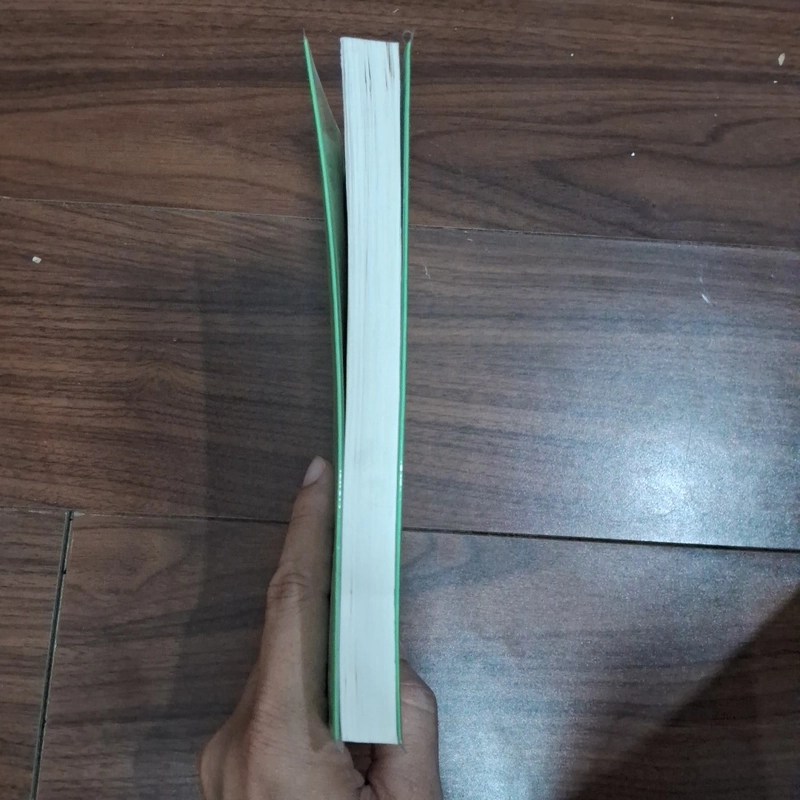 Chuyện tình chính khách việt nam 511585