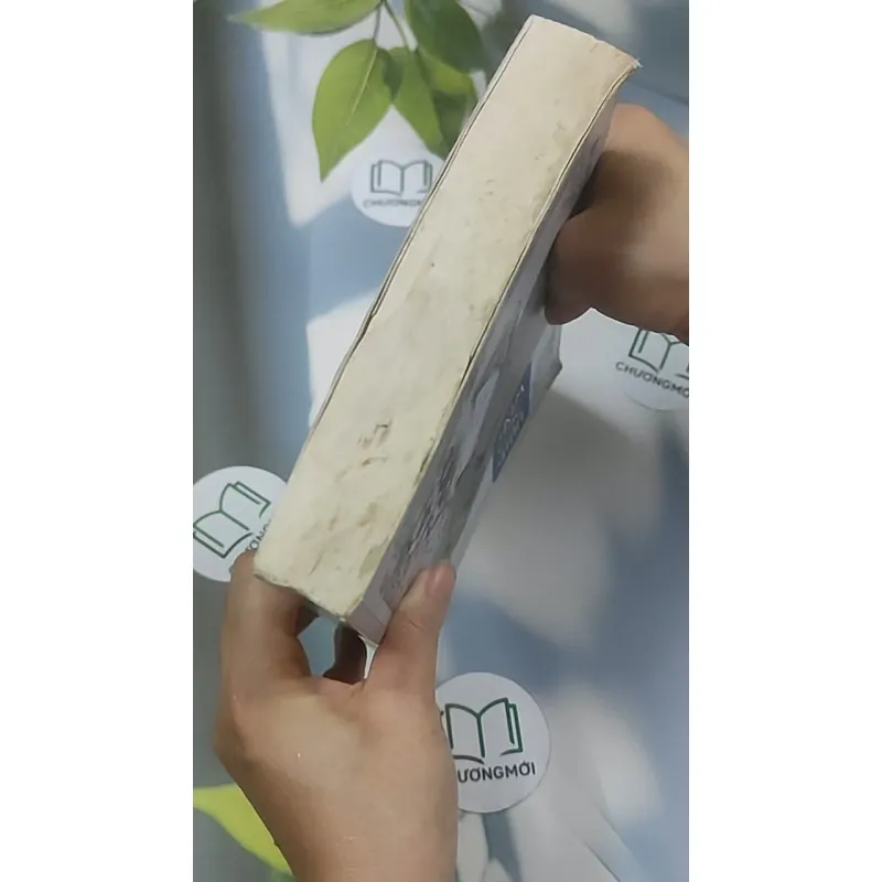 Kim Ốc Hận 2 - Liễu Ký Giang 688579