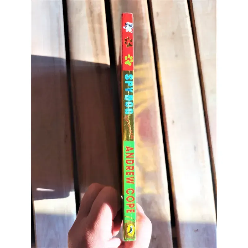 Sách ngoại văn - Spydog - Superbrain - Tác giả: Andrew Cope 932524