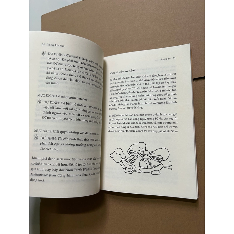 Trí tuệ loài rùa 547362