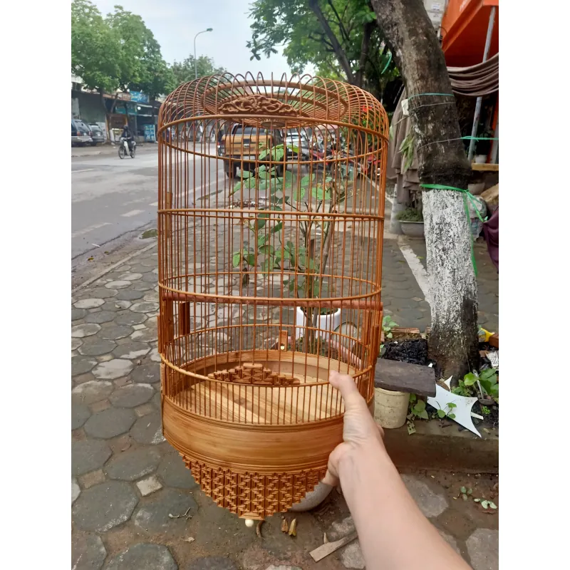 lồng yến. tiểu mi. chòe đất  1027644