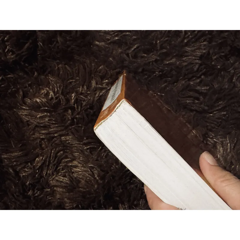 Các mô hình quản lí nhà nước hiện đại 723120