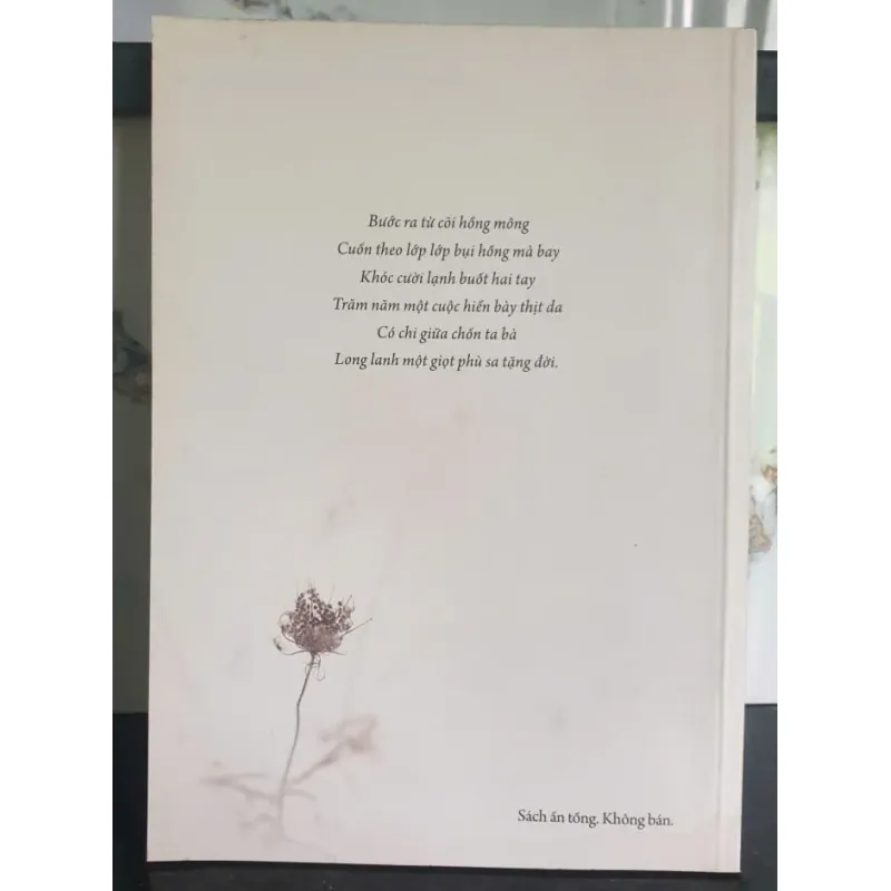 Giữa Chốn Ta Bà 698044