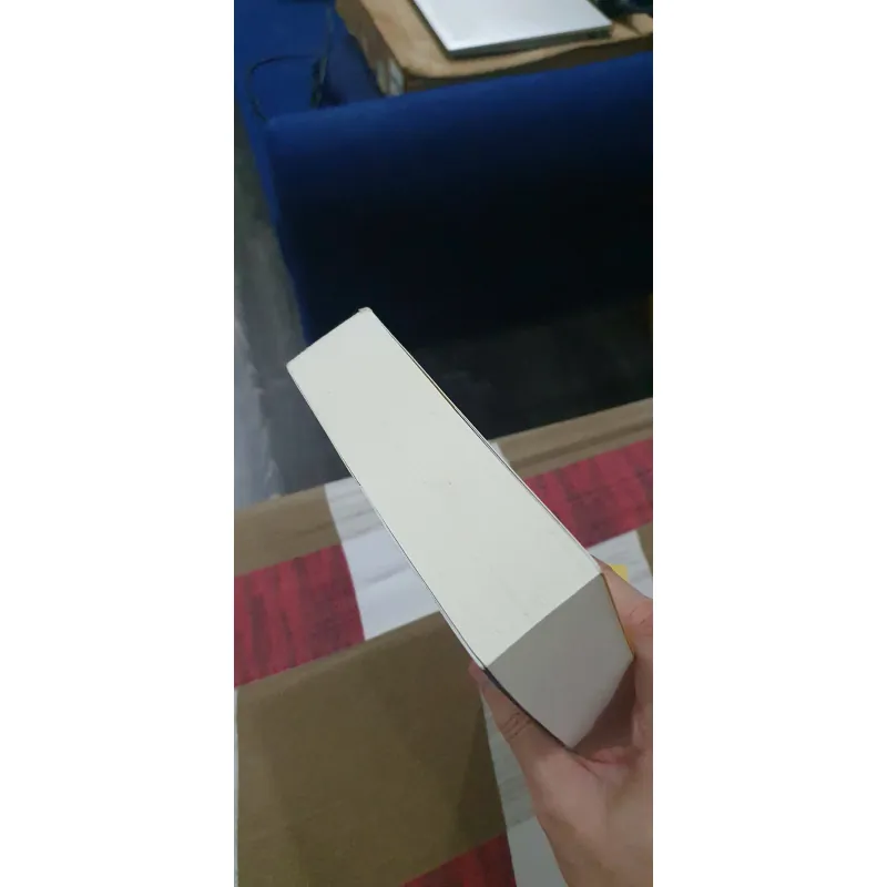 Lý Tiểu Long - Một Cuộc Đời Phi Thường - Matthew Polly, Mới 90% (TrieuL) 714345