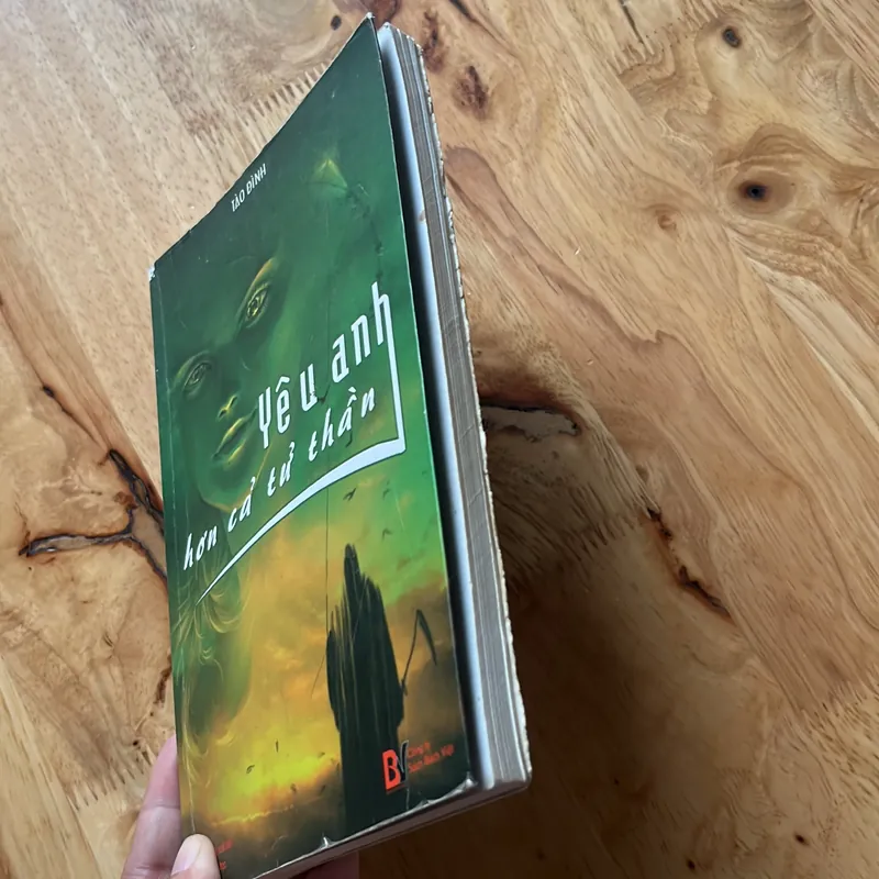 Yêu anh hơn cả tử thần - Tào Đình 595838