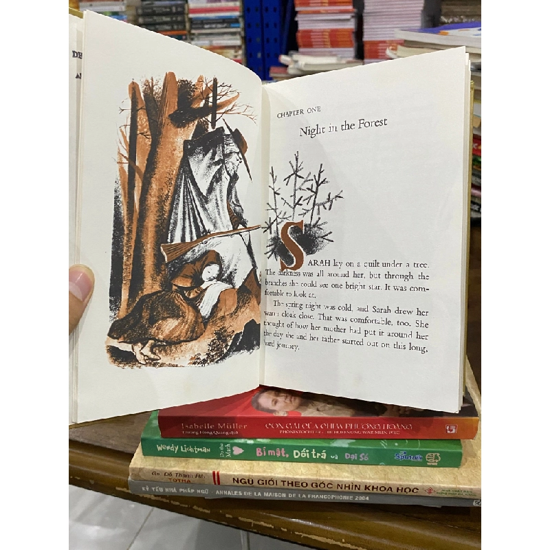 The Courage of Sarah Noble - Alice Dalgliesh 498526