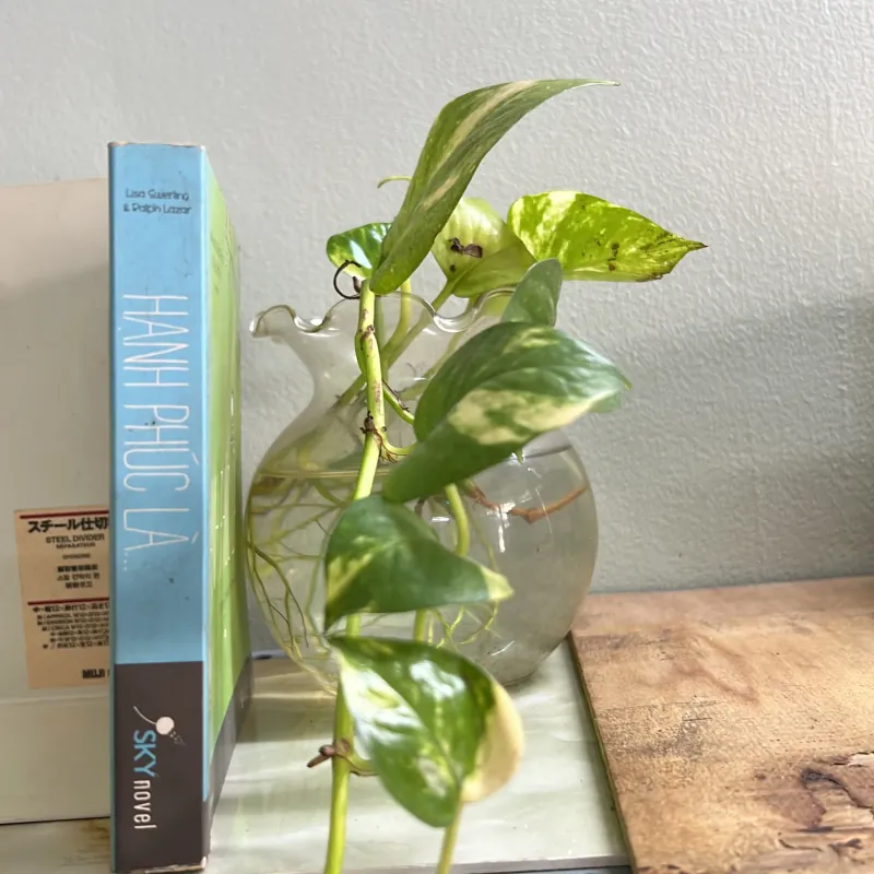 Hạnh phúc là 751823