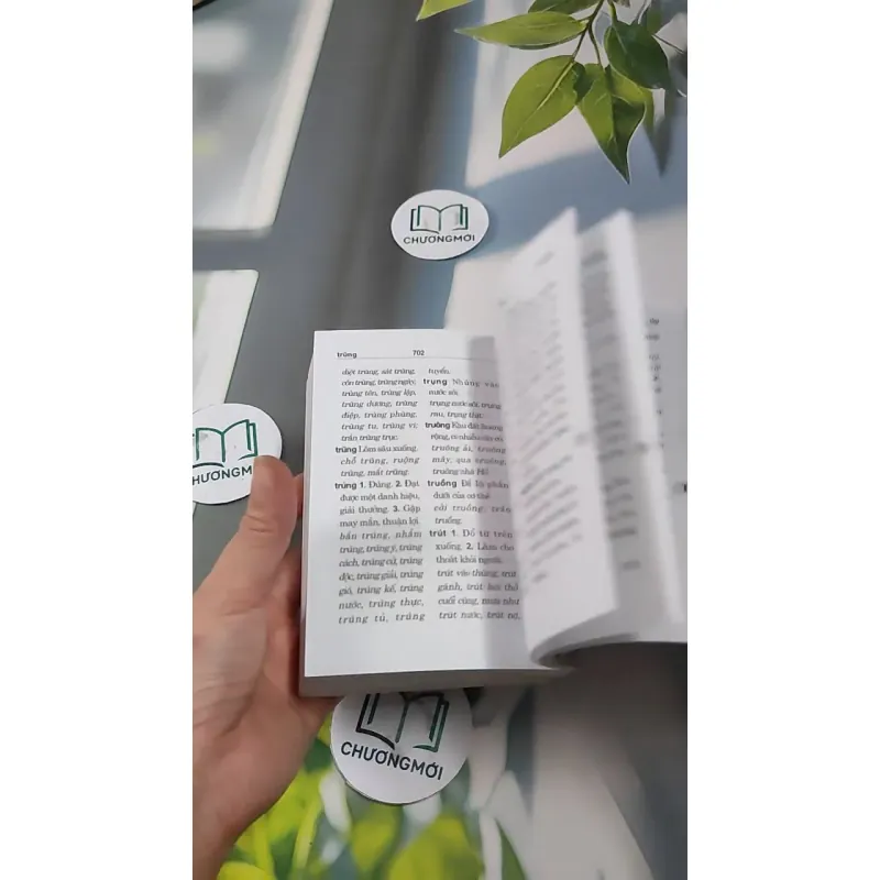 Từ Điển Chính Tả Tiếng Việt 727289