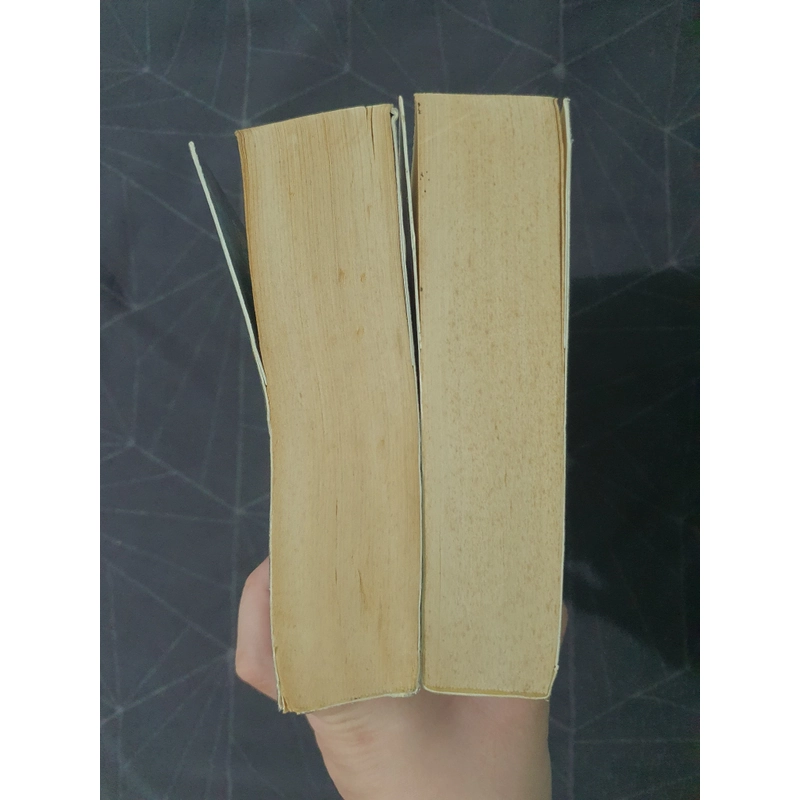 Combo "Lên cung trăng tìm tình yêu" - Hoa Thanh Thần 492904