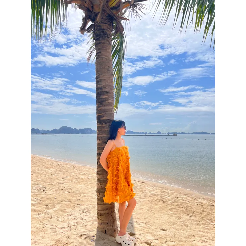 Váy nữ nắng vàng dáng suông kiểu dáng xòe đính hoa nổi siêu xinh 1024440