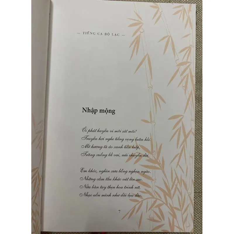 Tiếng Ca Bộ Lạc- Đinh Hùng 1027724