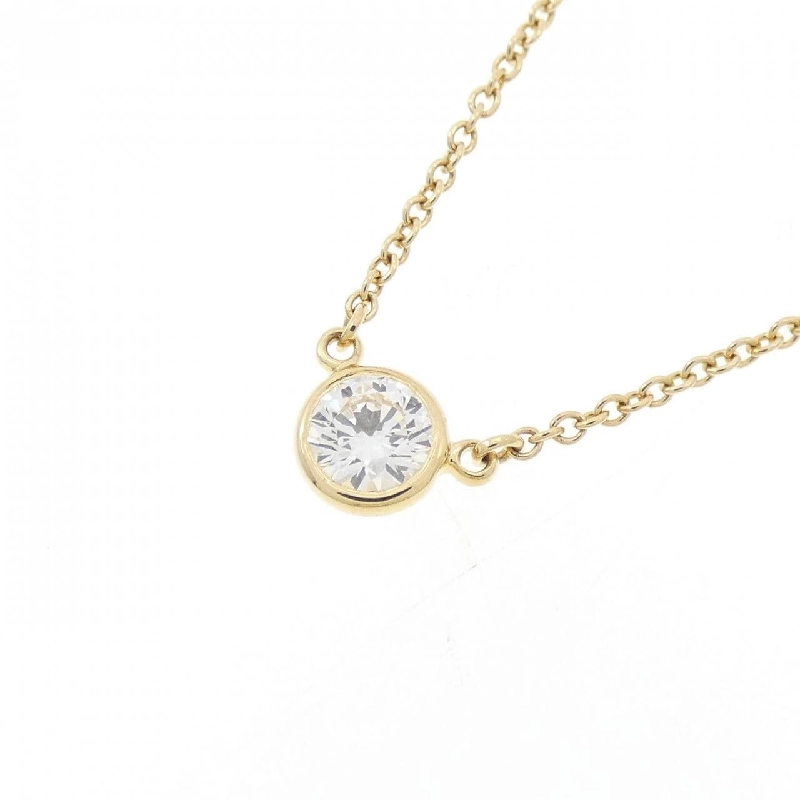 Dây chuyền Tiffany By The Yard - Hàng hiệu Authentic 841781