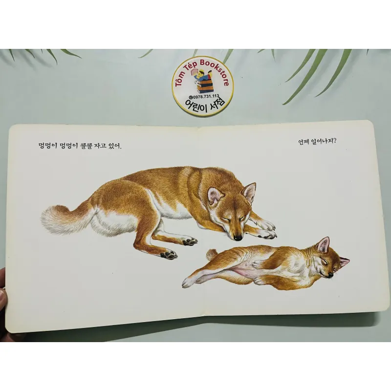 Set boardbook B20 cho bé yêu động vật tiếng Hàn 784654