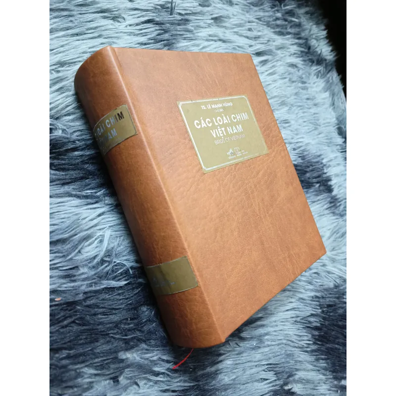 Các loài chim Việt Nam (Lê Mạnh Hùng) 736184