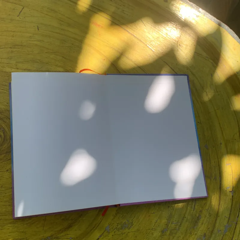 TƯ DUY KINH DOANH CỦA BÀ BÁN LẨU- ĐOÀN DIỆU LINH HAI TẬP BÌA CỨNG  785103