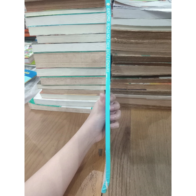 Oxford Reading Tree Dictionary 958281