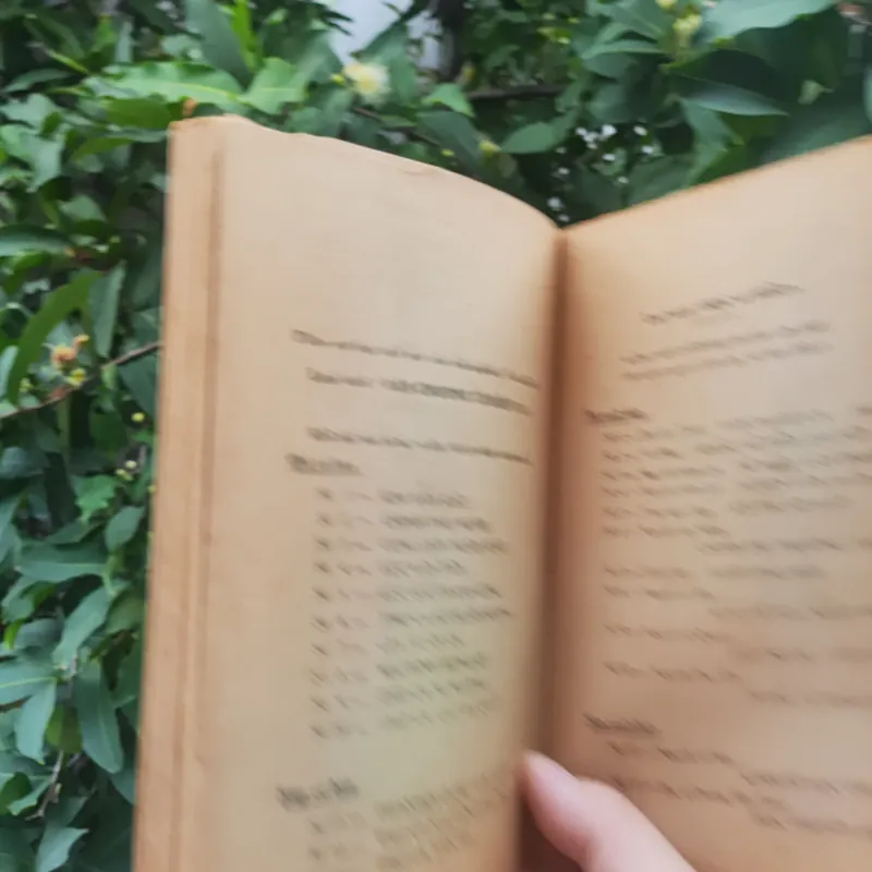 Nhà Buôn Nên Biết Về Luật Thương Mại - Trịnh Đình Thảo 730584