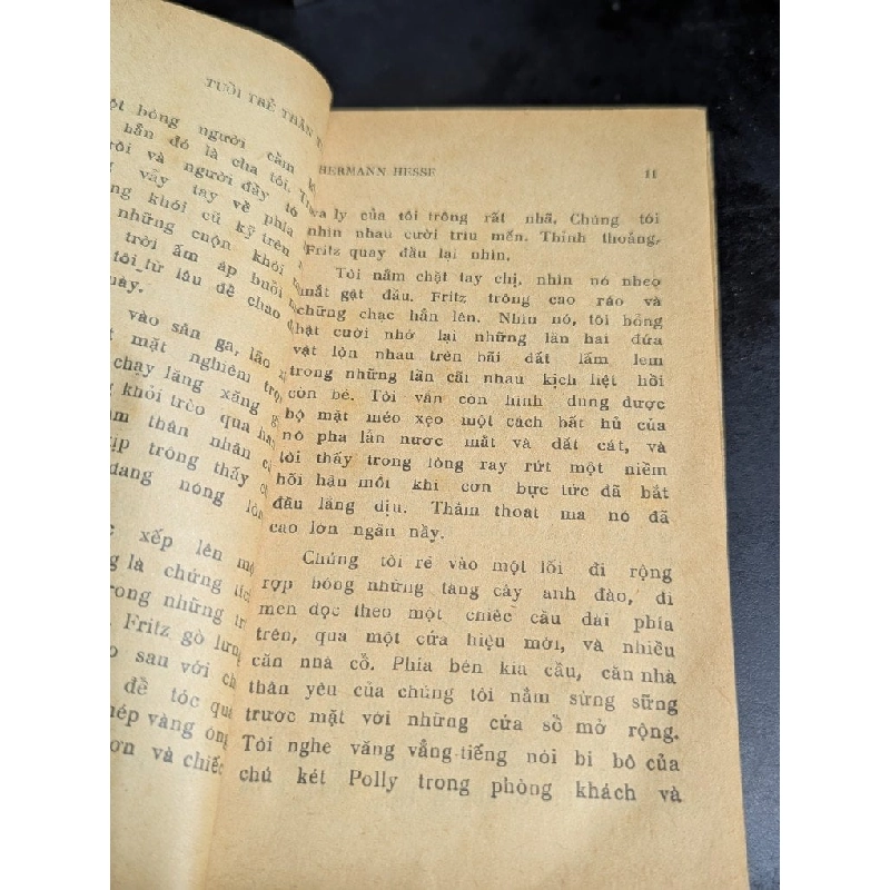 Tuổi trẻ thần tiên - Hermann Hesse ( bản dịch của Bùi Quang Đông ) 740232