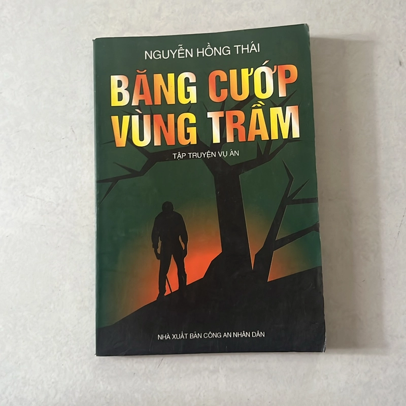 Băng cướp vùng trầm - Nguyễn Hồng Thái 518008