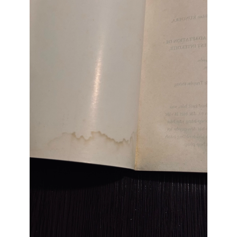 Combo màn + một cuộc gặp gỡ - Milan Kundera 474889
