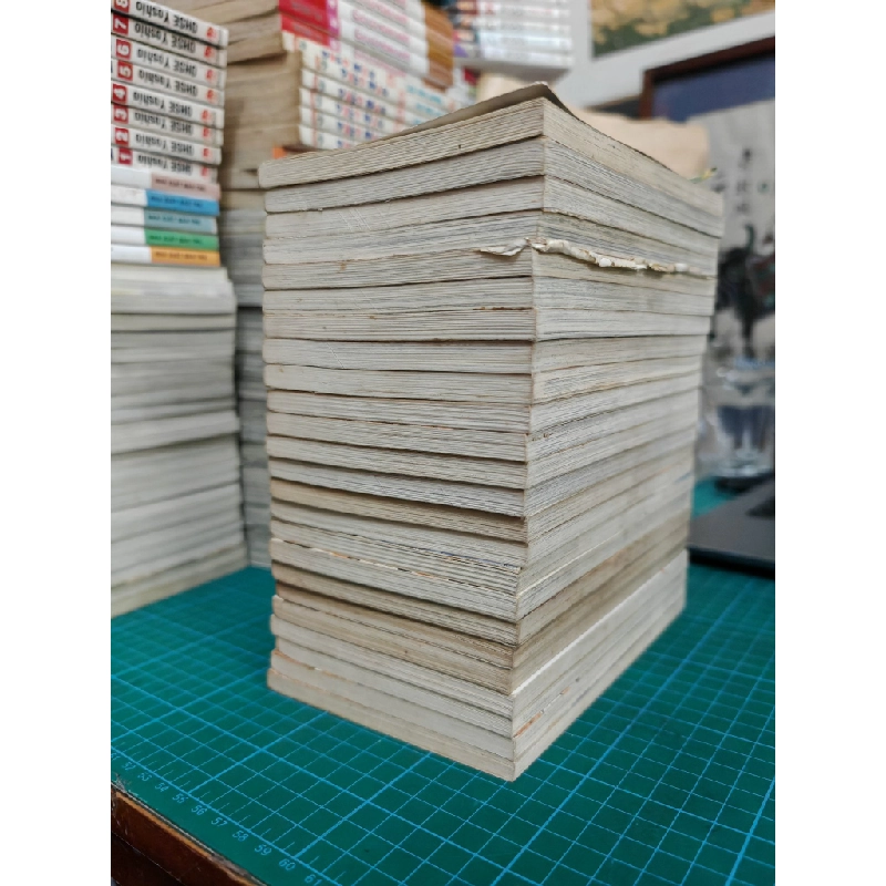 Truyện tranh thế giới đã mất 496342