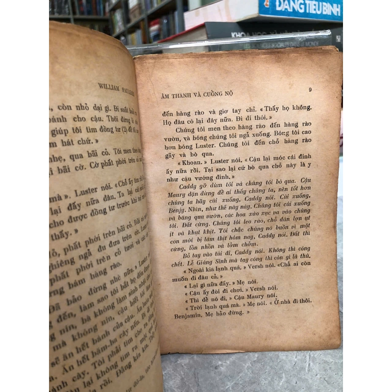 ÂM THANH VÀ CUỒNG NỘ - William Faulkner 478955
