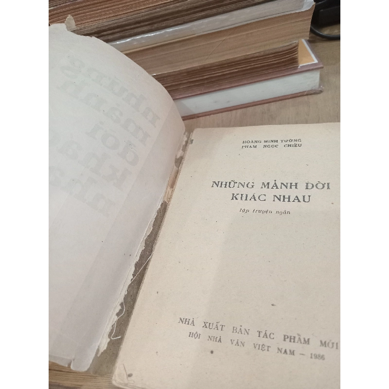 Những mảnh đời khác nhau - Hoàng Minh Tường, Phạm Ngọc Chiều 784340