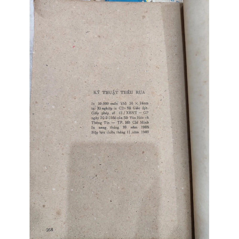 Kỹ thuật thêu rua - Triệu Thị Chơi 496434