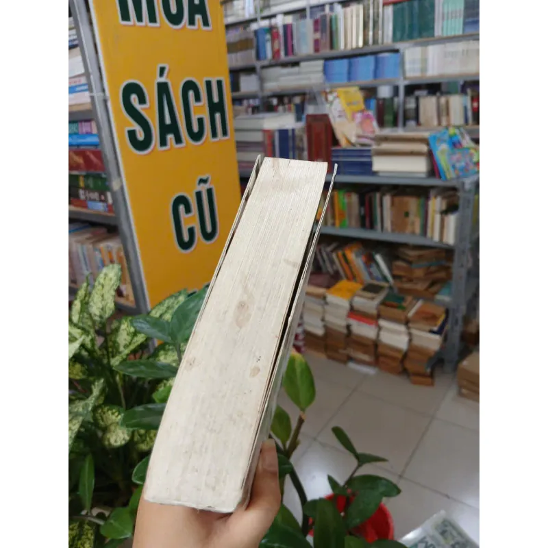 KHÔNG GIA ĐÌNH - HECTOR MALOT (HUỲNH LÝ DỊCH) 1038399