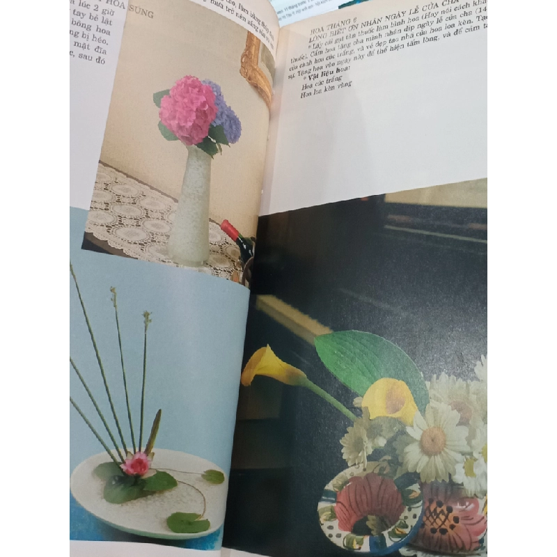 Nghệ thuật cắm hoa Nhật Bản - Yazahashi Toka 529153