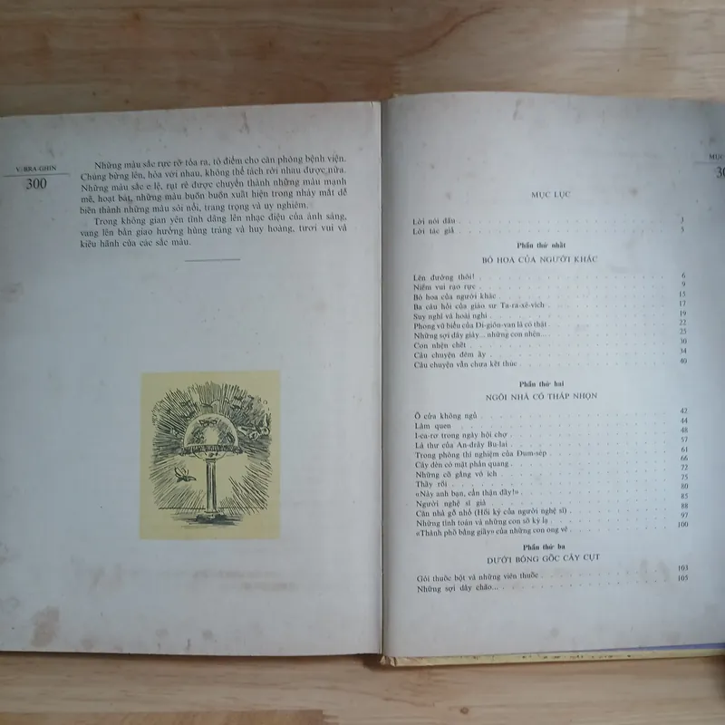 Ở Xứ Cỏ Rậm (Nxb Cầu Vồng, 1988) - Vla-đi-mia Bra-ghin 675487