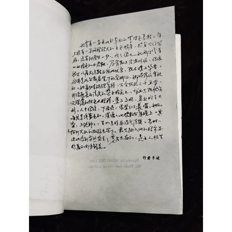 Rừng xanh lá đỏ 1001641