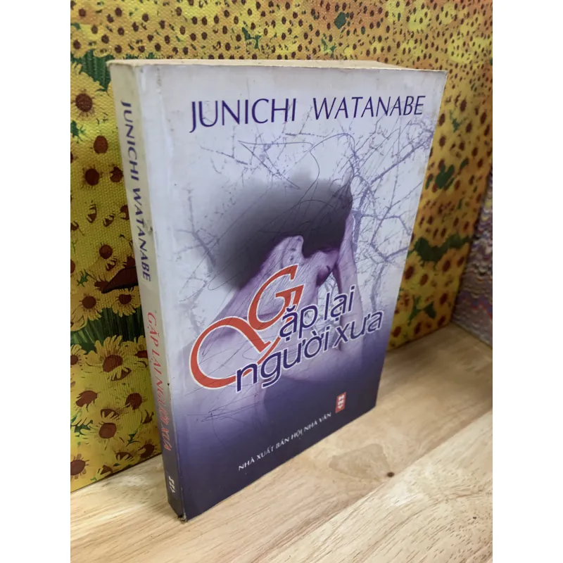 Gặp Lại Người Xưa - Junichi Watanabe 925737