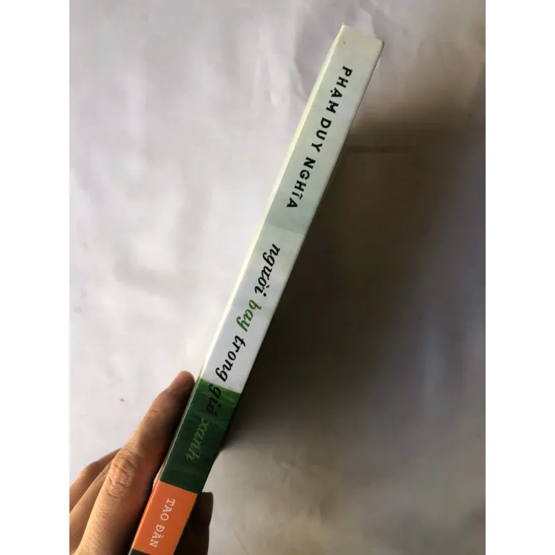 Người Bay Trong Gió Xanh - Phạm Duy Nghĩa 976135