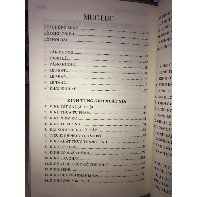 Cánh chung học - Hoàng Đức Toàn 994472