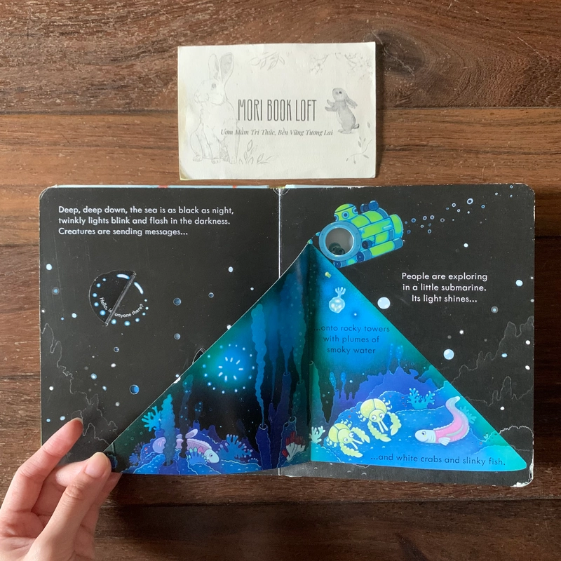 Sách ngoại văn Peep Inside The Sea - M.ấ.t Flap trang 1,3, miếng lật cũ, Used 540734